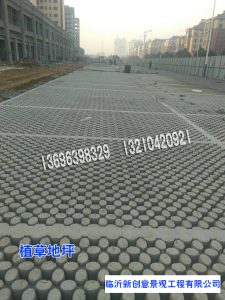 cbcdceb4e73abe77d2dbf6a9f37466b