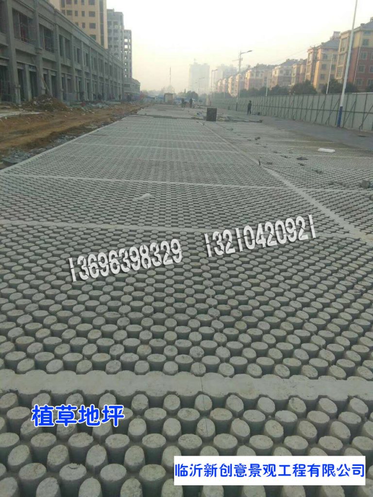 cbcdceb4e73abe77d2dbf6a9f37466b