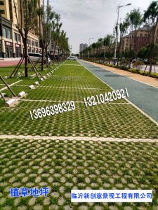 d3b0e614bb0422e31228434dcb3739d