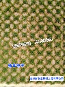 f56fad5b06b7885d843af69008b9a28