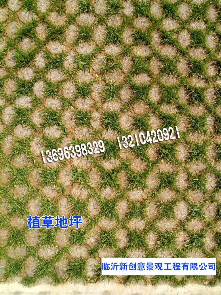 f56fad5b06b7885d843af69008b9a28