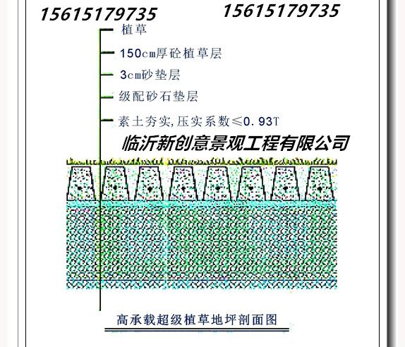 植草3_副本