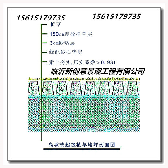山东沂水高承载植草地坪—海绵城市渗透技术产品