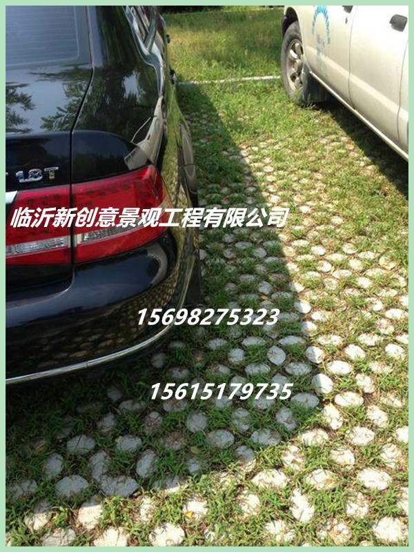 石家庄高承载植草地坪——海绵城市渗透技术产品