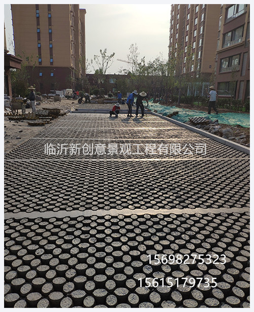 多功能高承载植草地坪系统