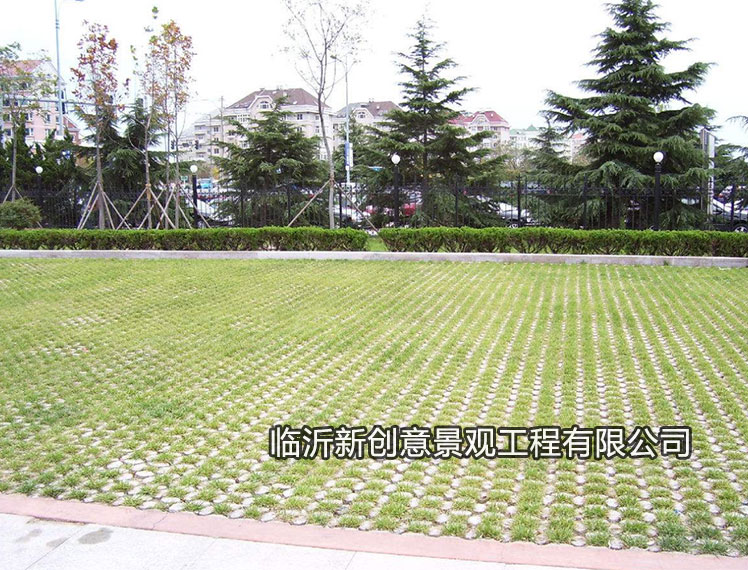 高承载植草地坪这7点必须注意