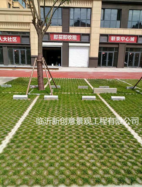高承载植草地坪——生态停车场的福音