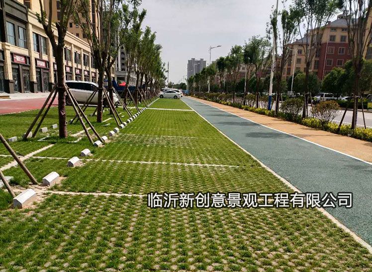 新型植草地坪——高颜值，易施工