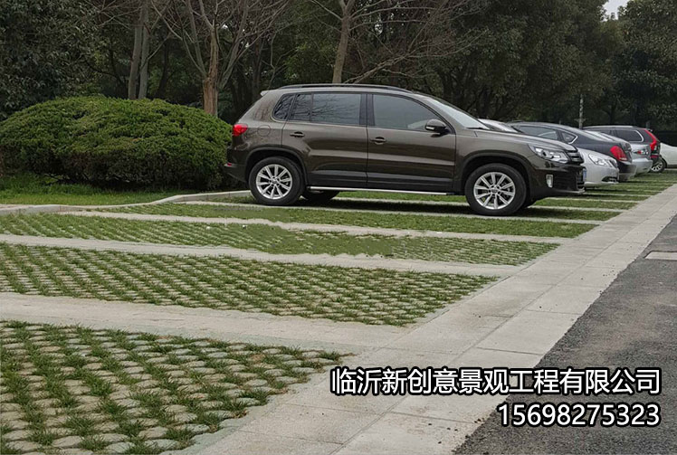 陕西植草地坪停车场的绿化效果！