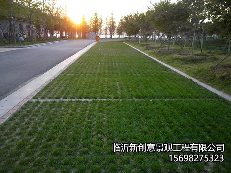 什么是植草地坪？有哪些优势？