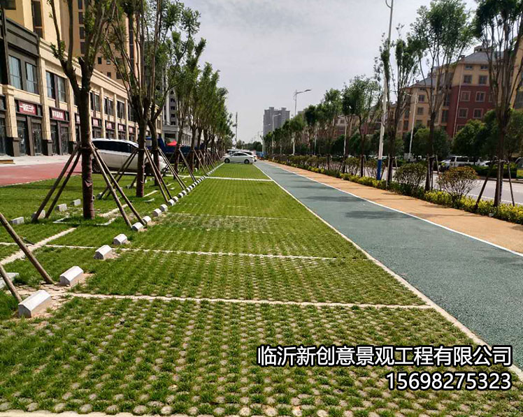 多场景应用下的高承载植草地坪