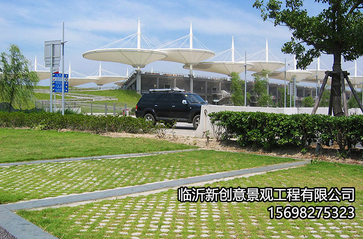 植草地坪的发展