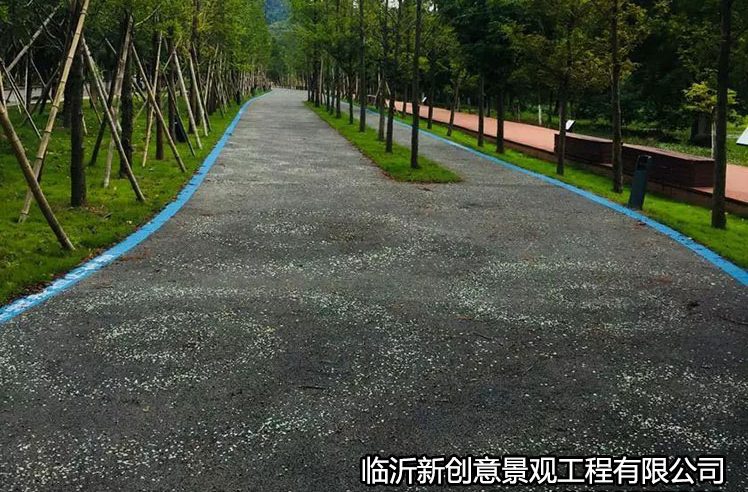 荧光41