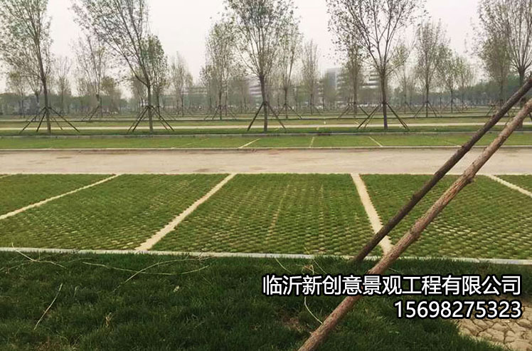 生态植草地坪怎么样？