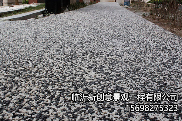 露骨37
