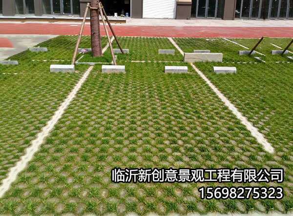 植草13