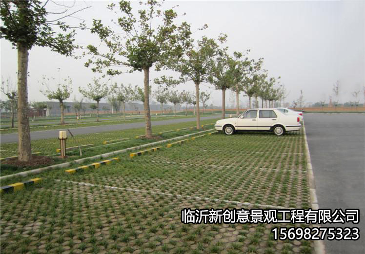 高承载植草地坪的构造