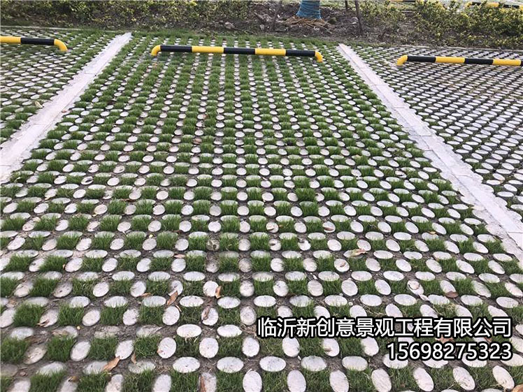 新型现浇植草地坪