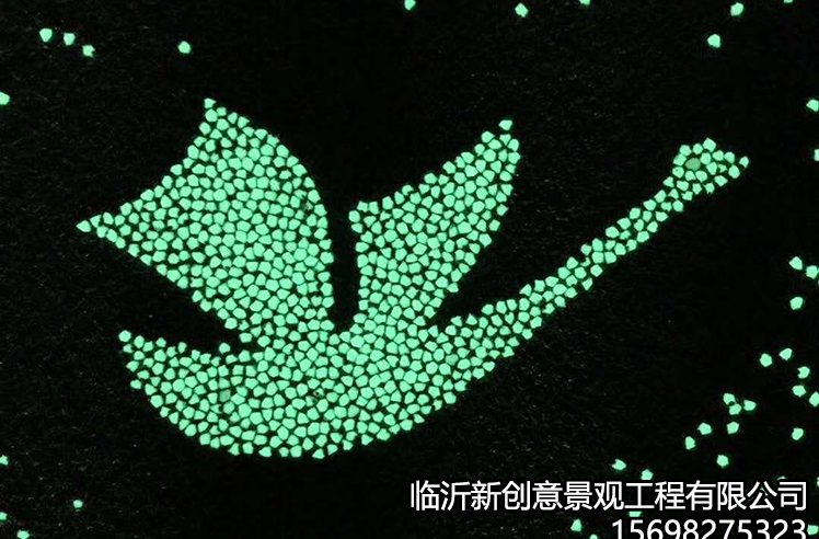 荧光53