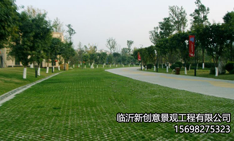生态植草地坪怎么样？