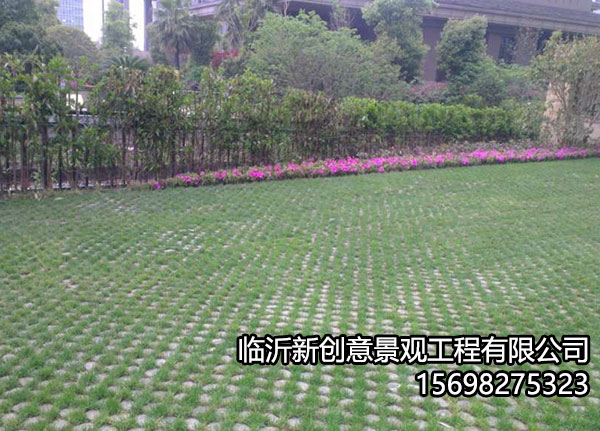植草42